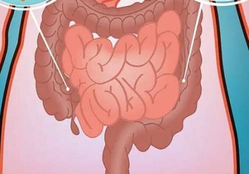 天津代生中心：﻿帮助女性怀双胞胎的饮食疗法，吃什么一文全了解