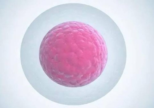 天津代怀机构：﻿2023海军特色医学中心试管婴儿科普知识导航，助孕成功率评估