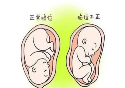 天津代怀公司：﻿来月经能吃生姜吗,来例假吃生姜有影响吗