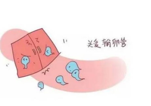 天津代生代怀机构：﻿试管移植成功为何会服用醋酸泼尼松药物呢？这种药物的作用到底是什么？
