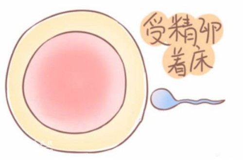 天津供卵试管：﻿早产儿五大护理要点，这些护理事项家长要牢记