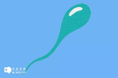 天津代生供卵公司：﻿4细胞胚胎先别养囊，看看胚胎质量再做决定