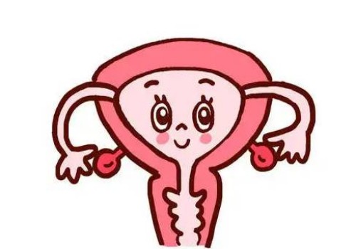 天津供卵代生：﻿俄罗斯三代试管婴儿成功率高，失败了仅为5%