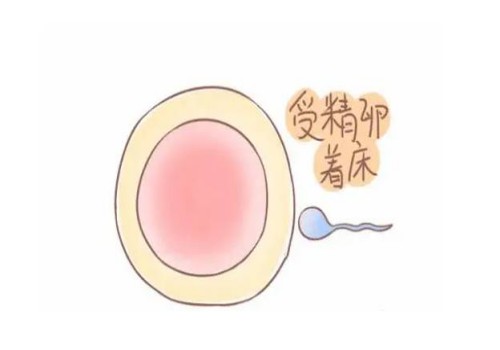 天津试管机构包男孩：﻿2023长春市妇产医院试管婴儿成功坏孩子策略，助孕成功率多少